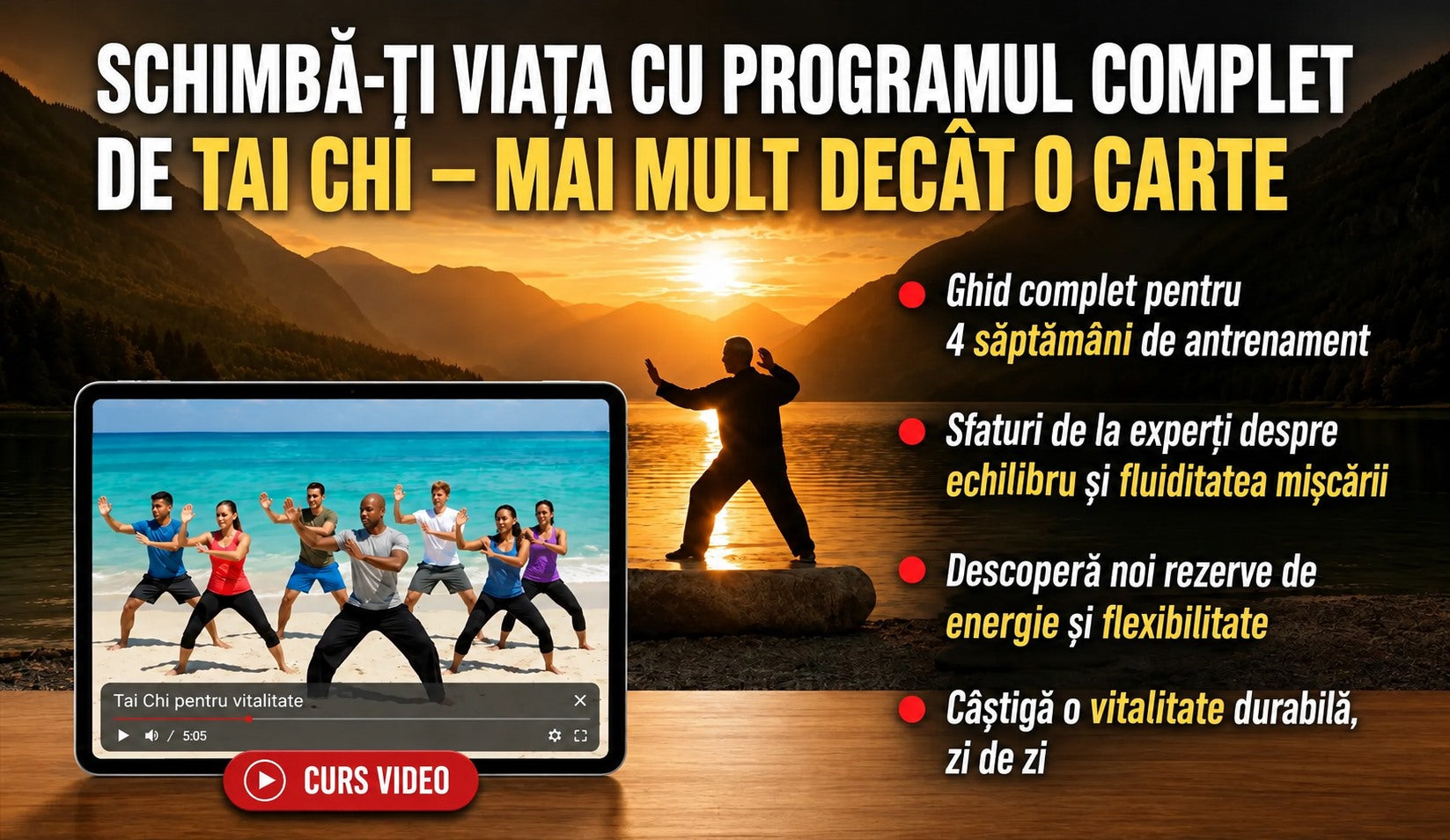 Curs video